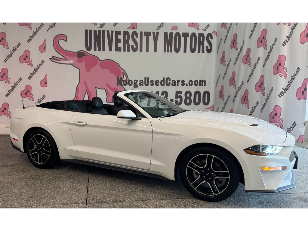 Used 2022 Ford Mustang Premium RWD image 4