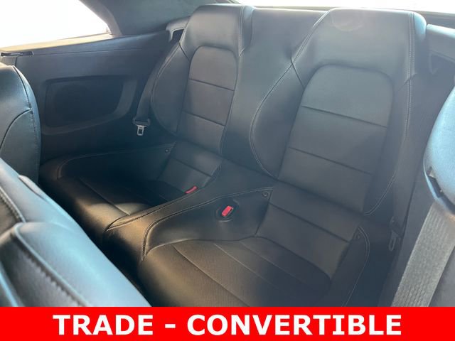 Used 2017 Ford Mustang Premium image 12