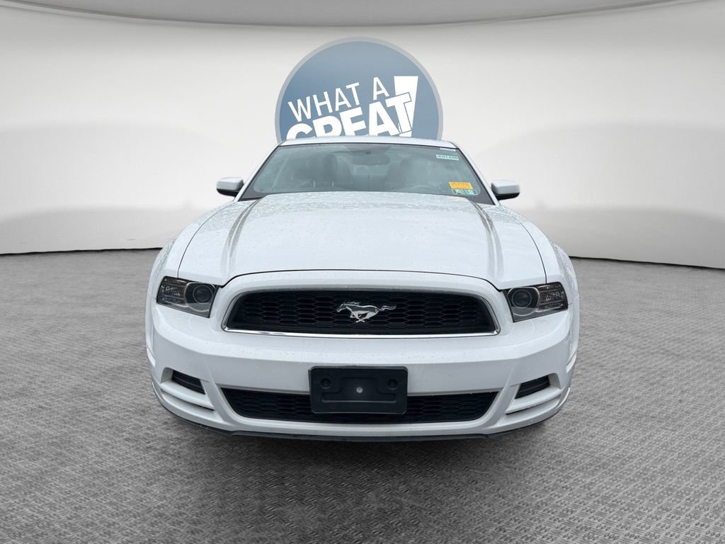 Used 2014 Ford Mustang Premium w/ Equipment Group 201A RWD image 9