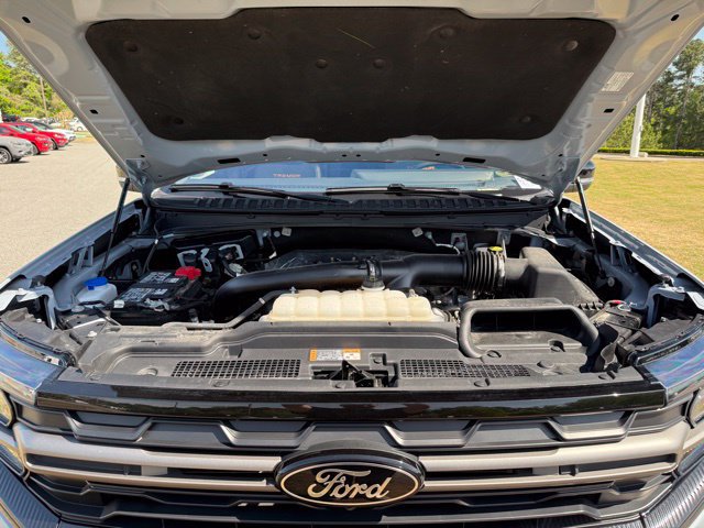 Used 2025 Ford Expedition Tremor AWD/4WD image 31