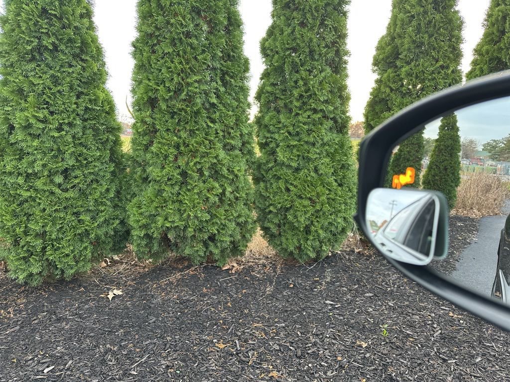 Used 2024 Toyota Prius LE image 16