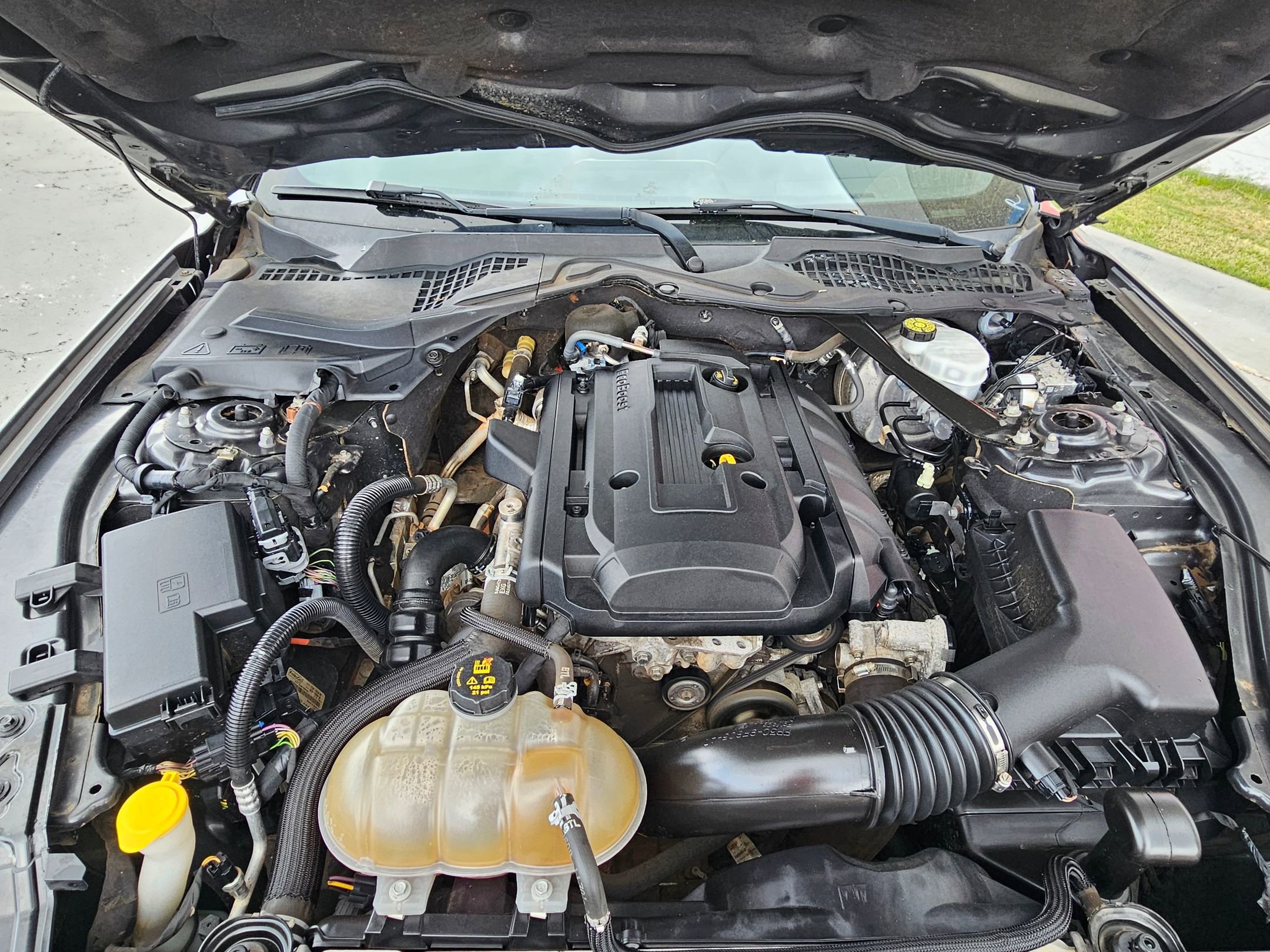 Used 2019 Ford Mustang Premium image 29