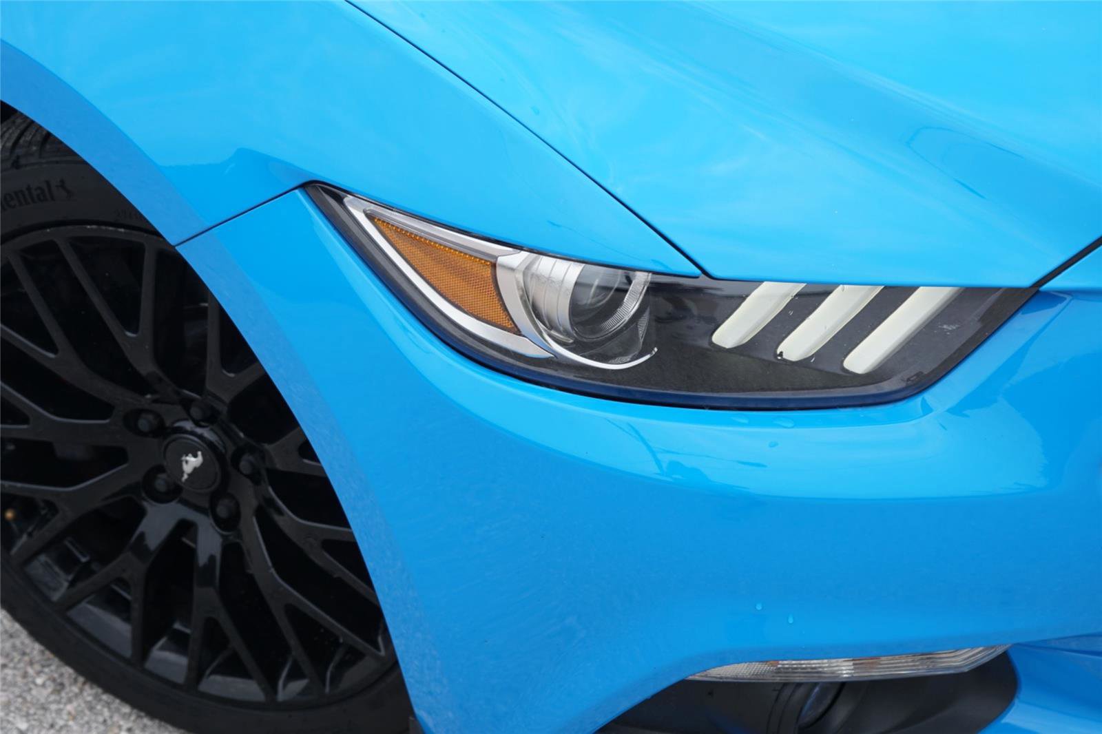 Used 2017 Ford Mustang GT w/ GT Performance Package RWD image 3