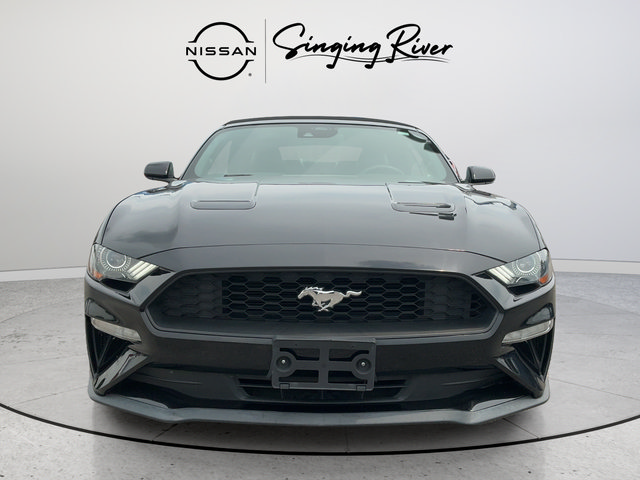 Used 2022 Ford Mustang Premium RWD image 2