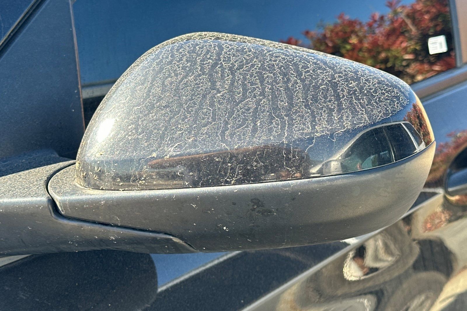 Used 2023 Chevrolet TrailBlazer LT w/ Convenience Package image 11