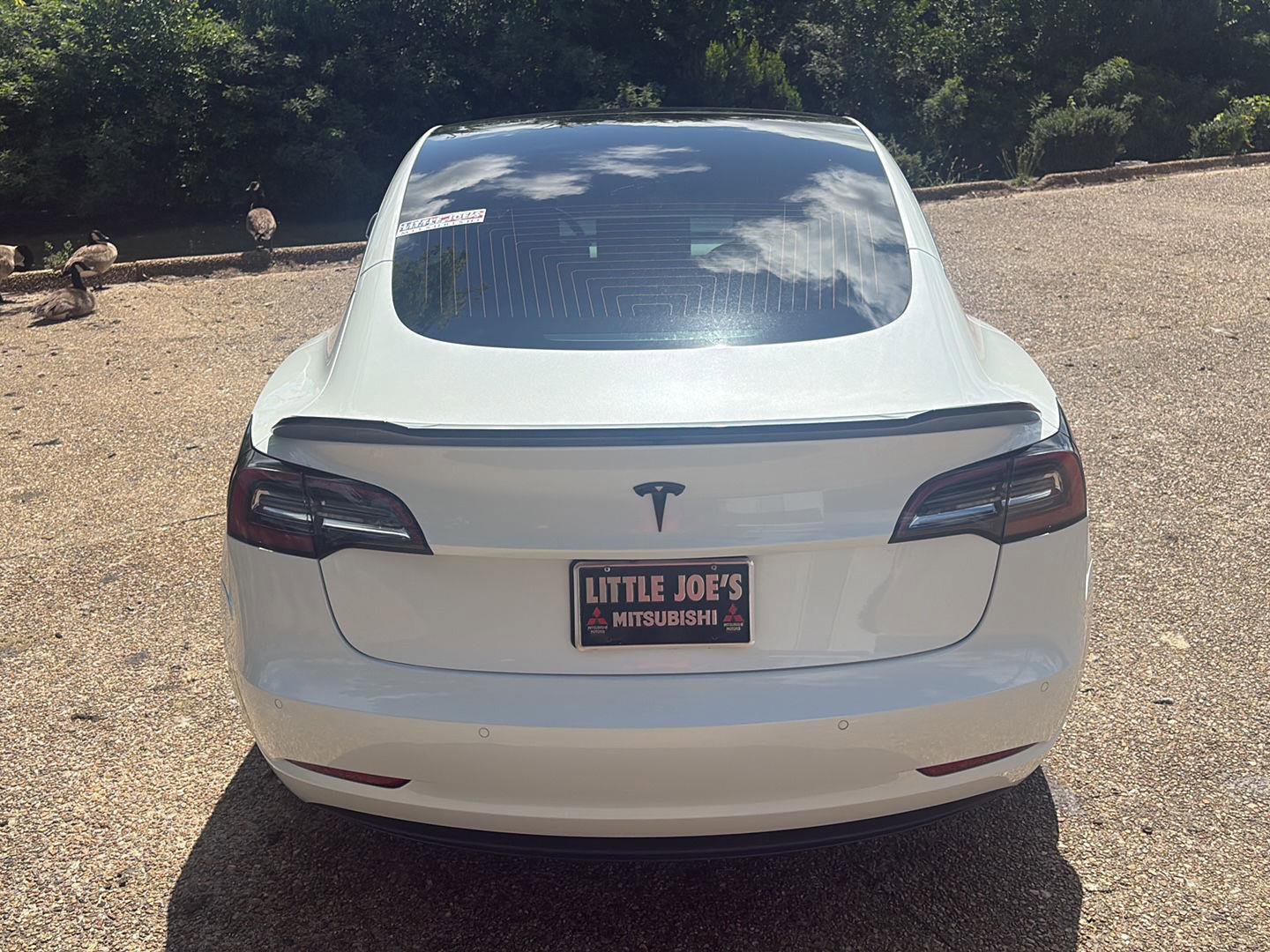 Used 2019 Tesla Model 3 Standard Range RWD image 7