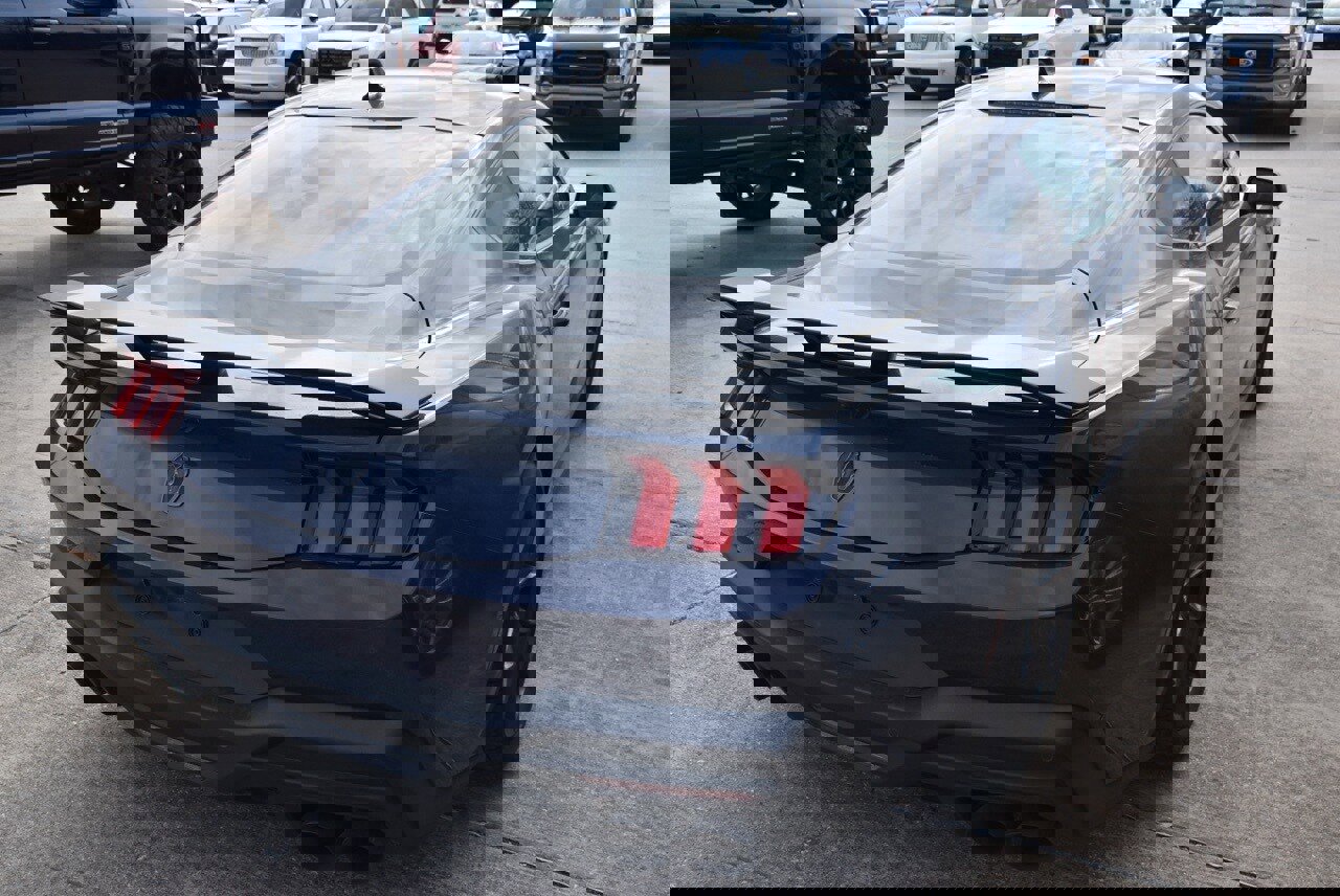 Used 2024 Ford Mustang Dark Horse image 5