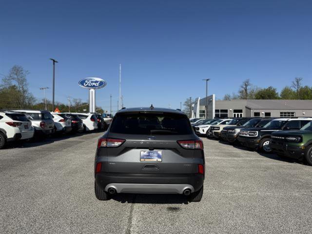 Certified 2022 Ford Escape SEL image 4