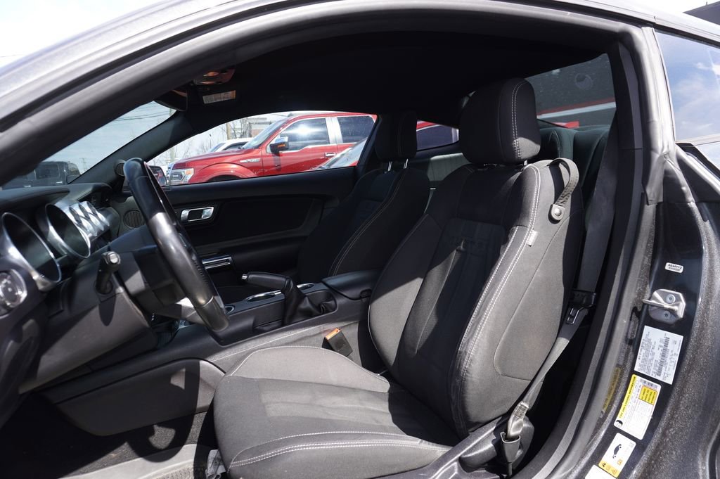 Used 2019 Ford Mustang GT w/ Equipment Group 301A image 2