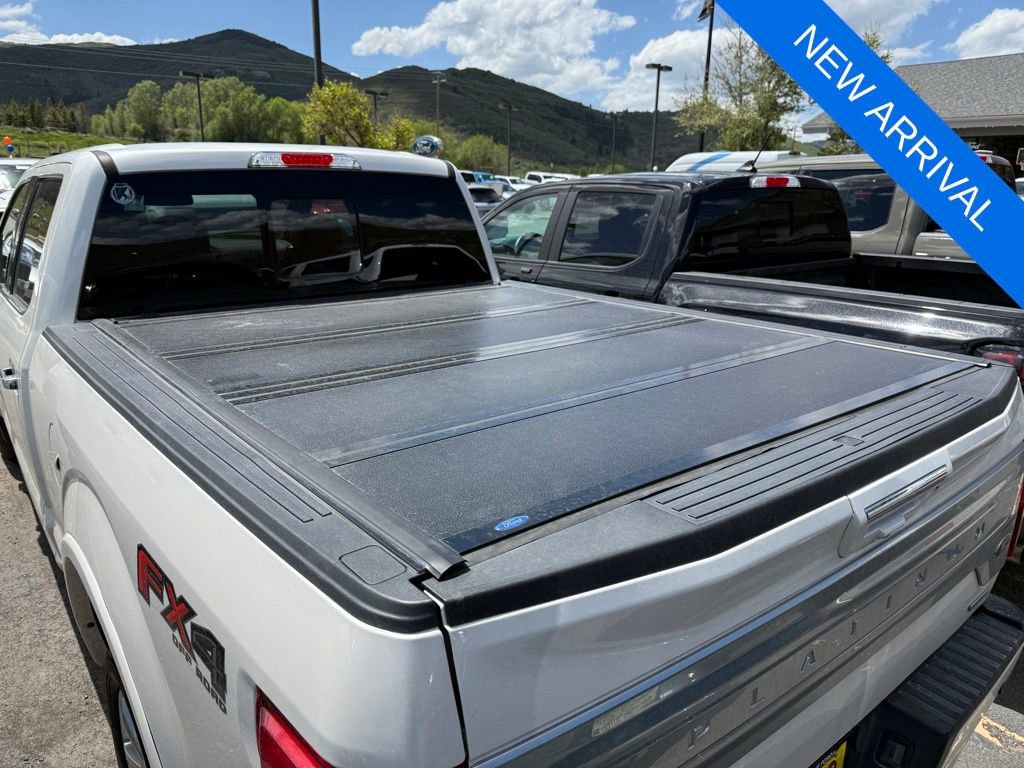 Used 2019 Ford F150 Platinum w/ Equipment Group 701A Luxury AWD/4WD image 6