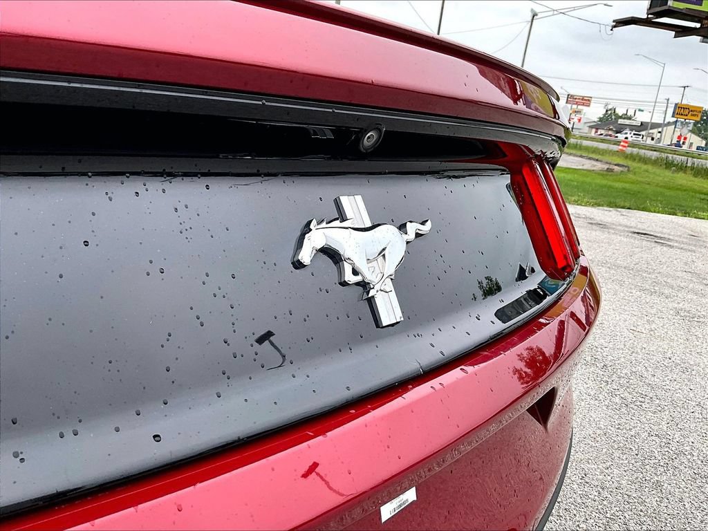 Used 2016 Ford Mustang Coupe w/ Equipment Group 051A RWD image 9