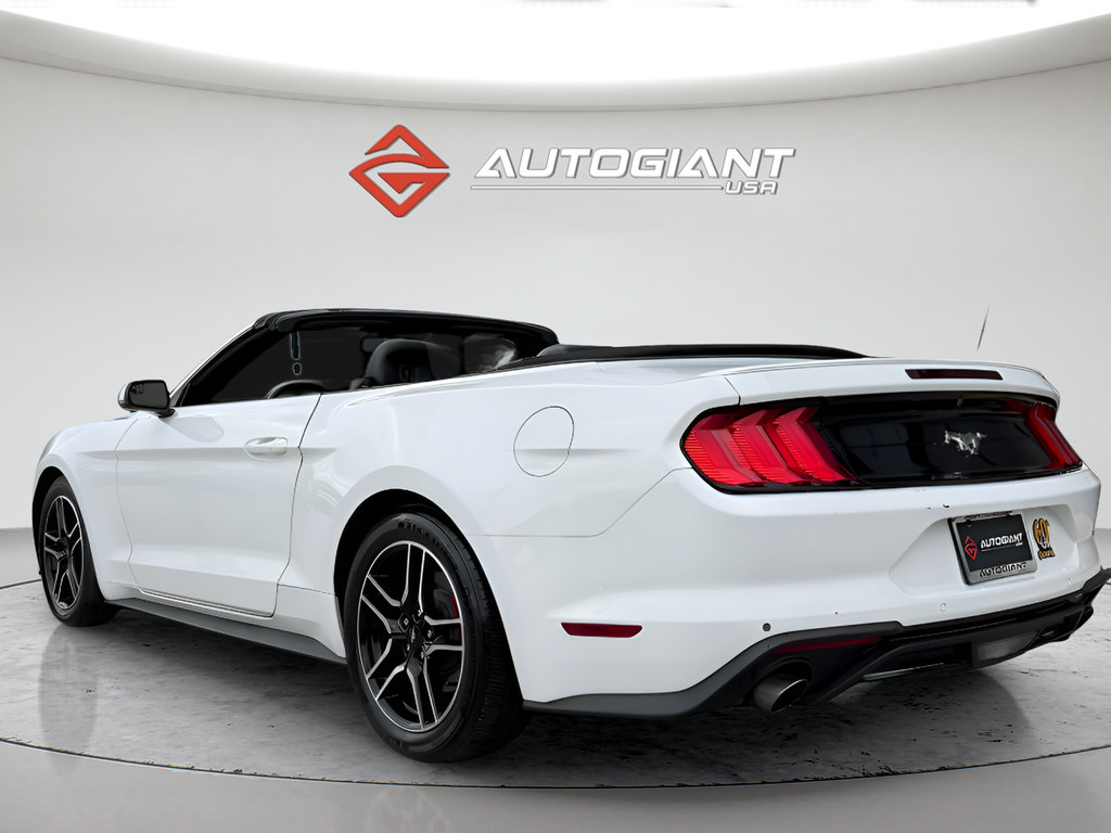 Used 2019 Ford Mustang Premium RWD image 7