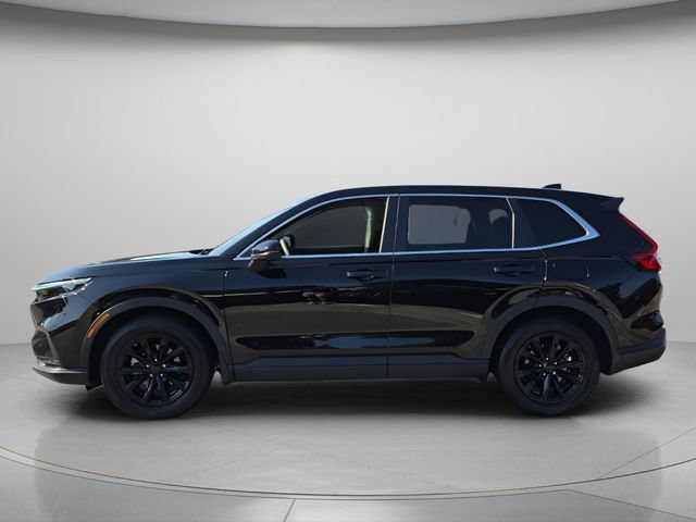 Used 2023 Honda CR-V EX-L image 3