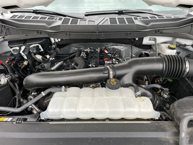 Used 2025 Ford F150 XLT w/ Equipment Group 301A Standard AWD/4WD image 31