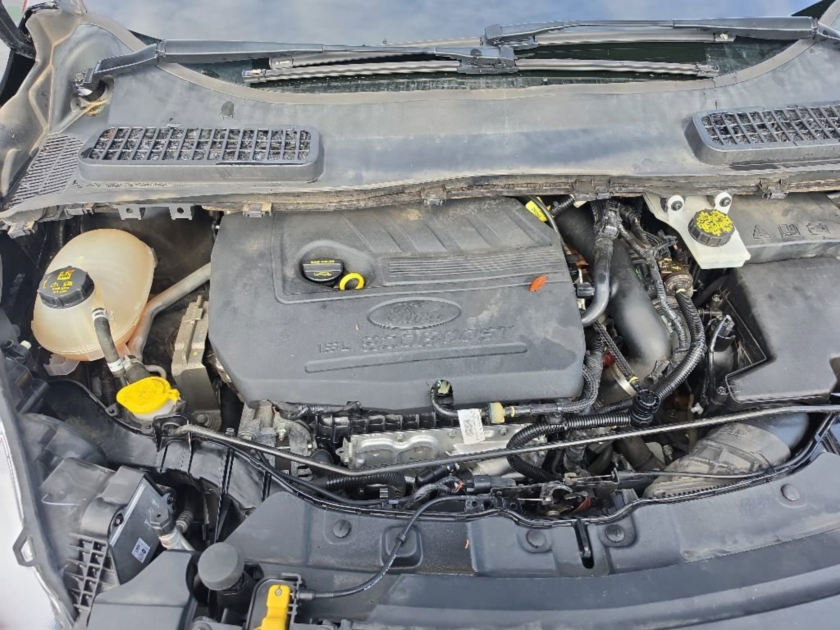 Used 2018 Ford Escape SEL AWD/4WD image 10