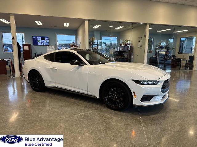 Certified 2025 Ford Mustang Premium w/ Mustang Nite Pony Package image 1