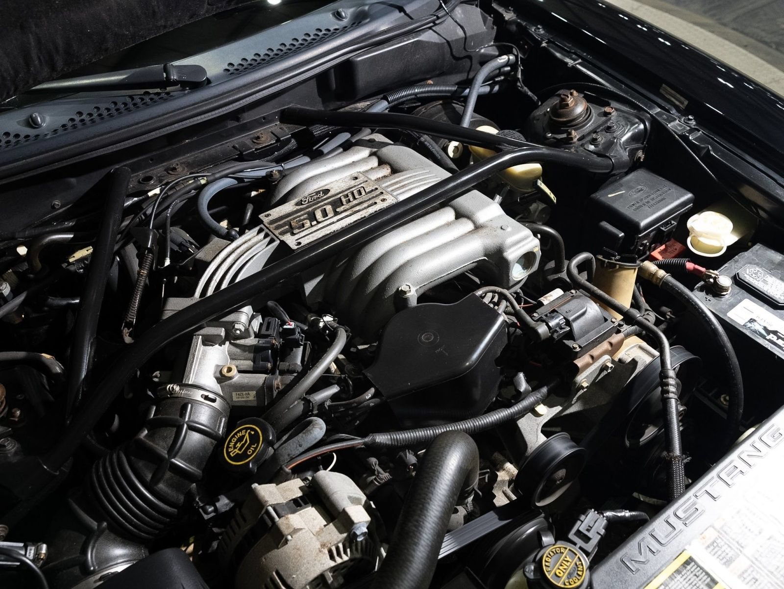 Used 1995 Ford Mustang GT RWD image 43