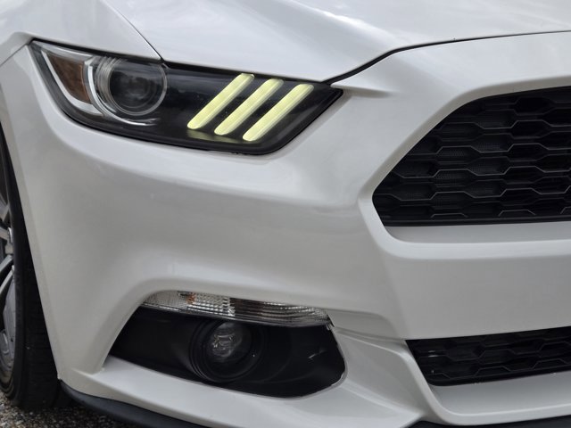 Used 2017 Ford Mustang Premium w/ Equipment Group 201A RWD image 3