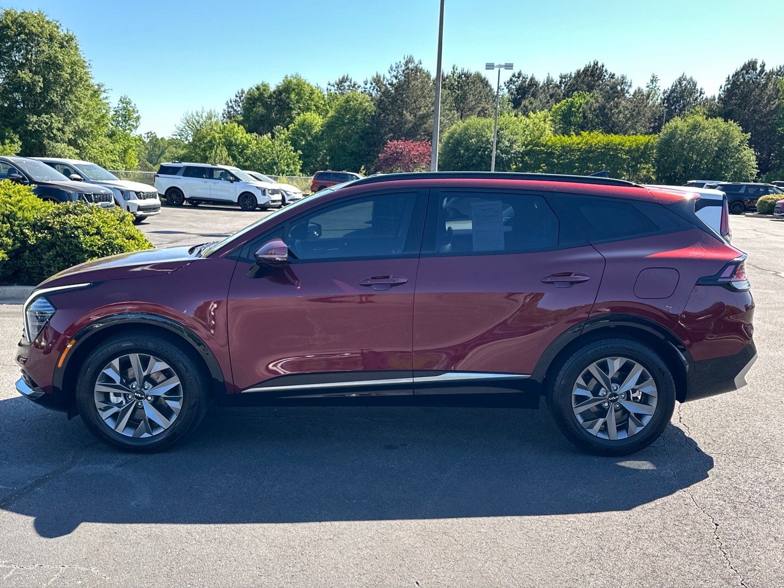 Certified 2024 Kia Sportage SX image 5