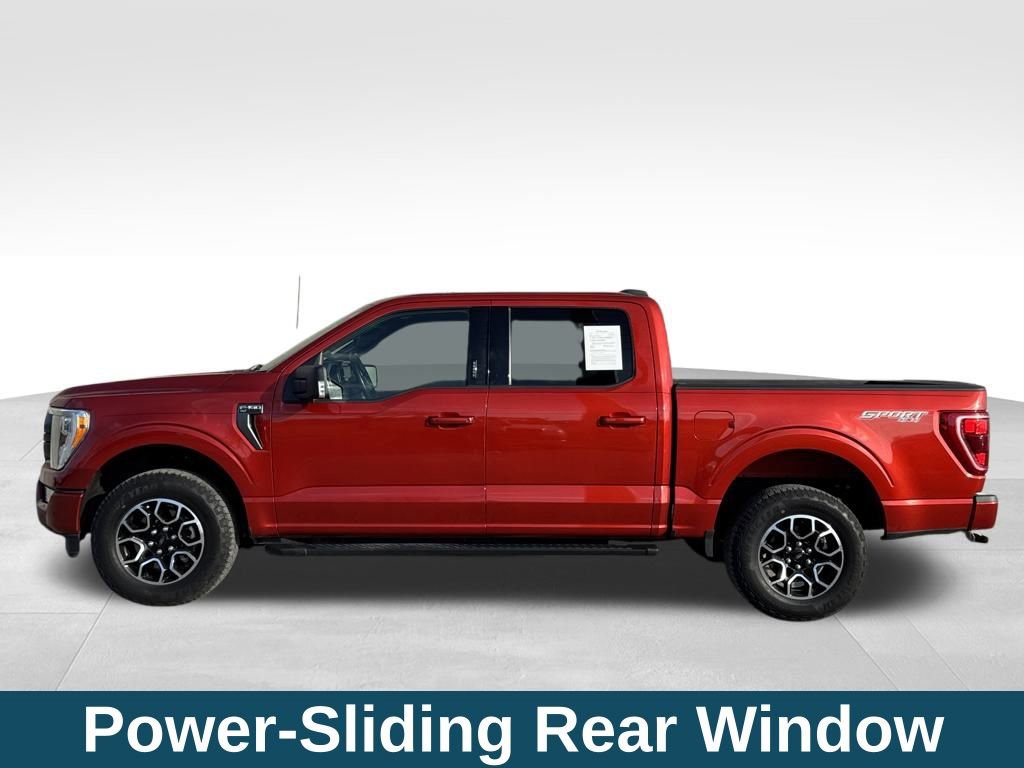 Used 2023 Ford F150 XLT w/ Equipment Group 302A High image 33