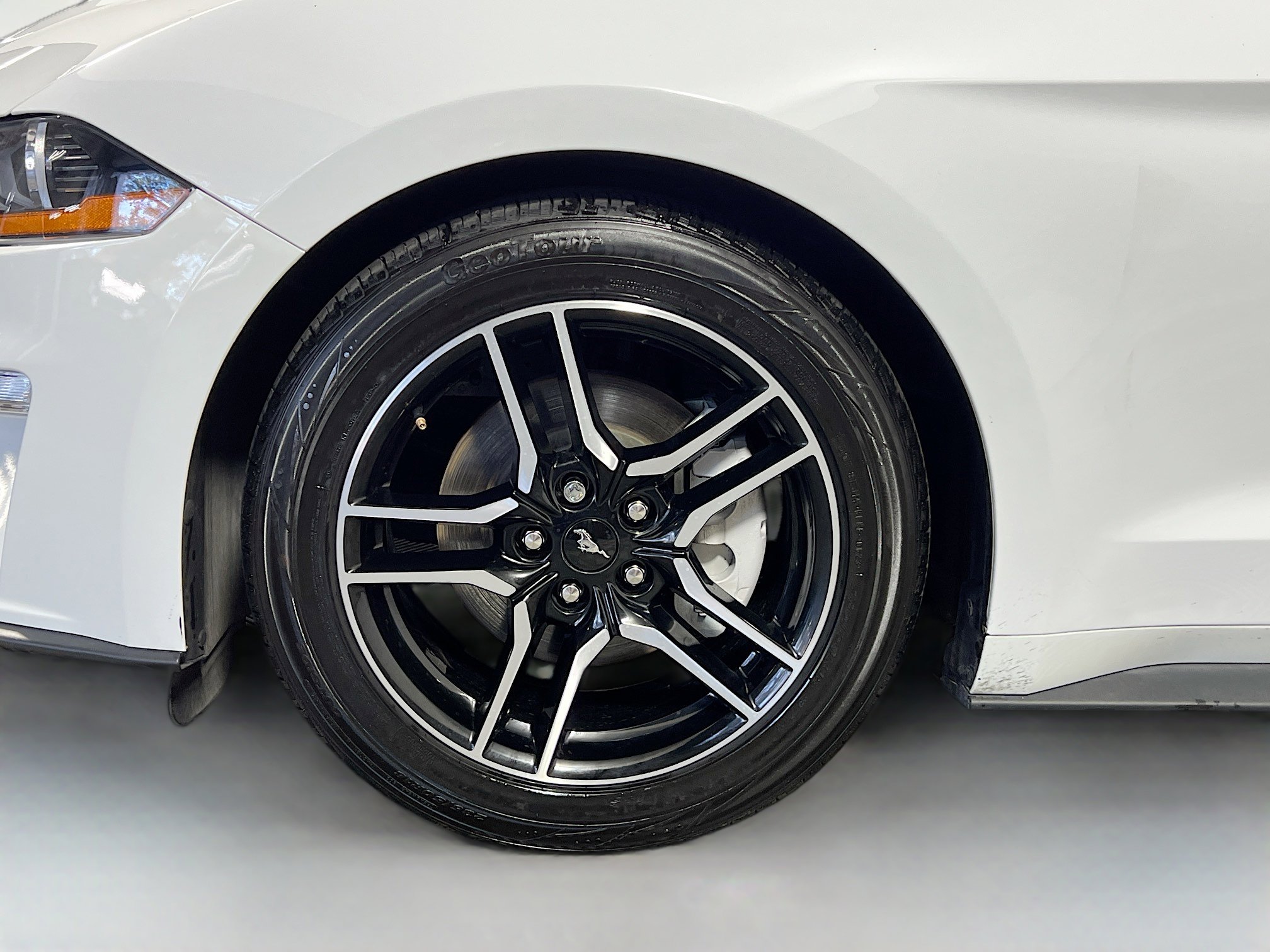 Used 2023 Ford Mustang Convertible w/ Equipment Group 101A image 14