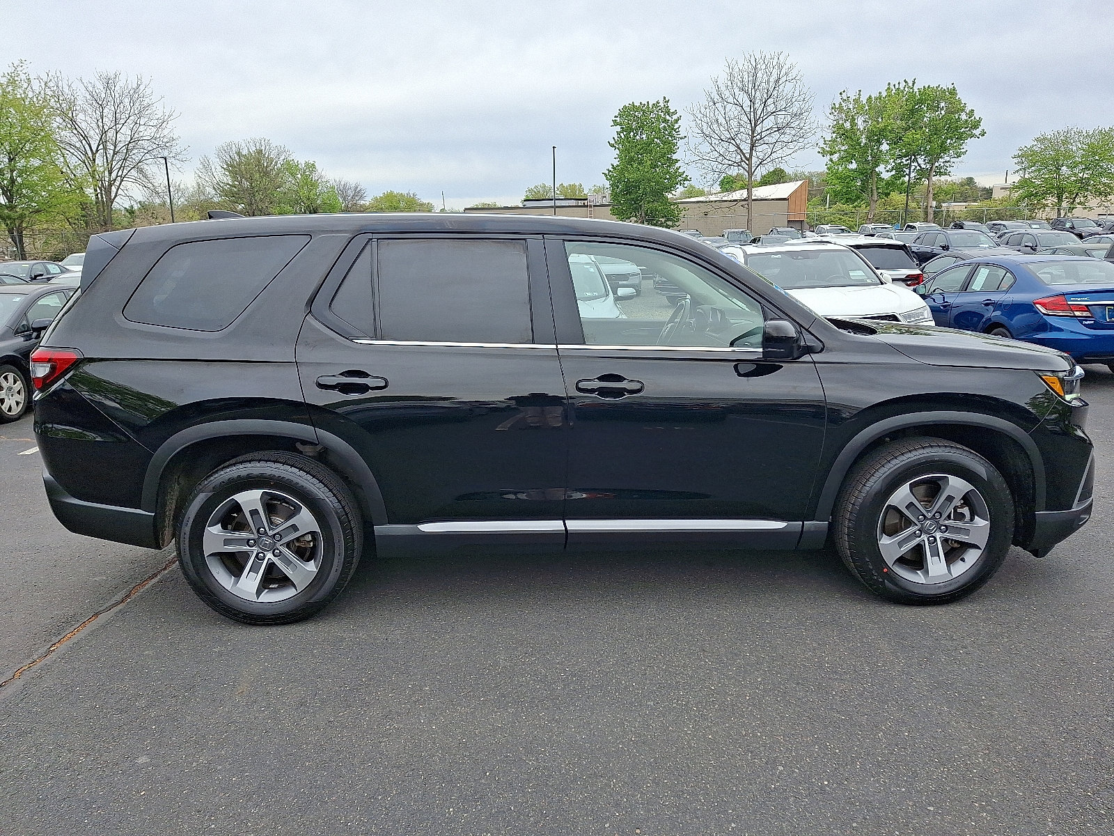 Certified 2024 Honda Pilot EX-L image 7