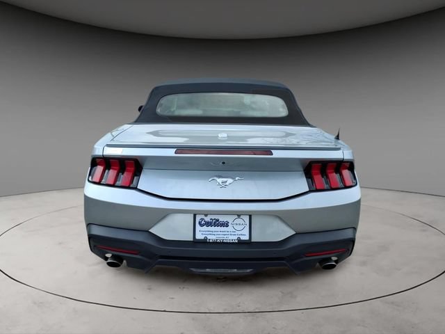 Used 2024 Ford Mustang Premium RWD image 6
