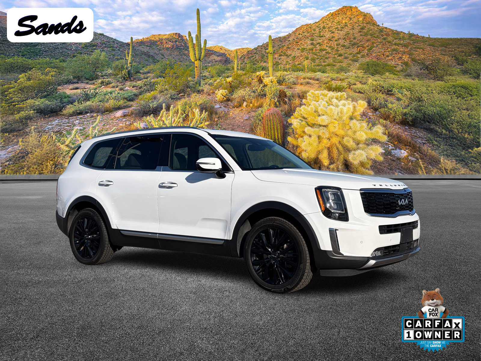 Certified 2022 Kia Telluride SX image 1