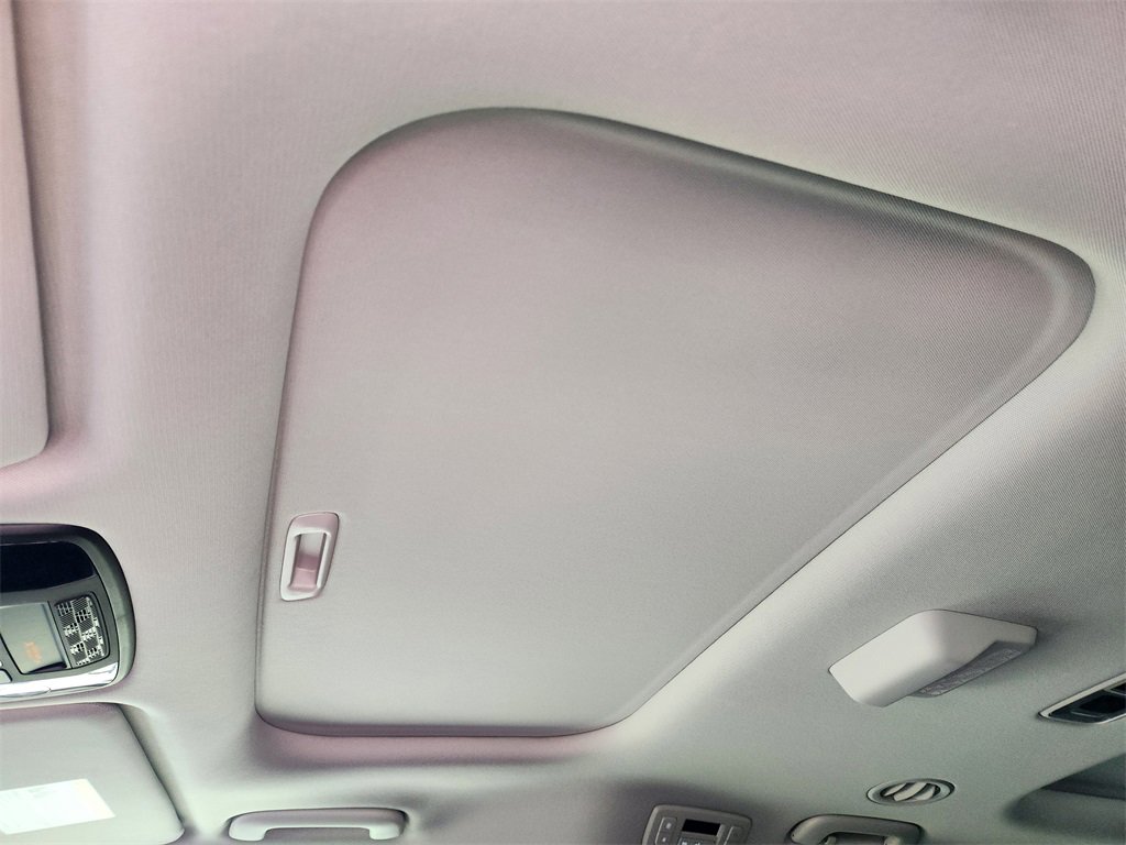 New 2026 Kia Carnival SX Prestige image 18