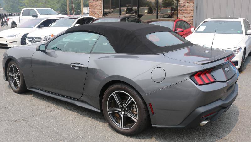Used 2024 Ford Mustang Premium RWD image 4
