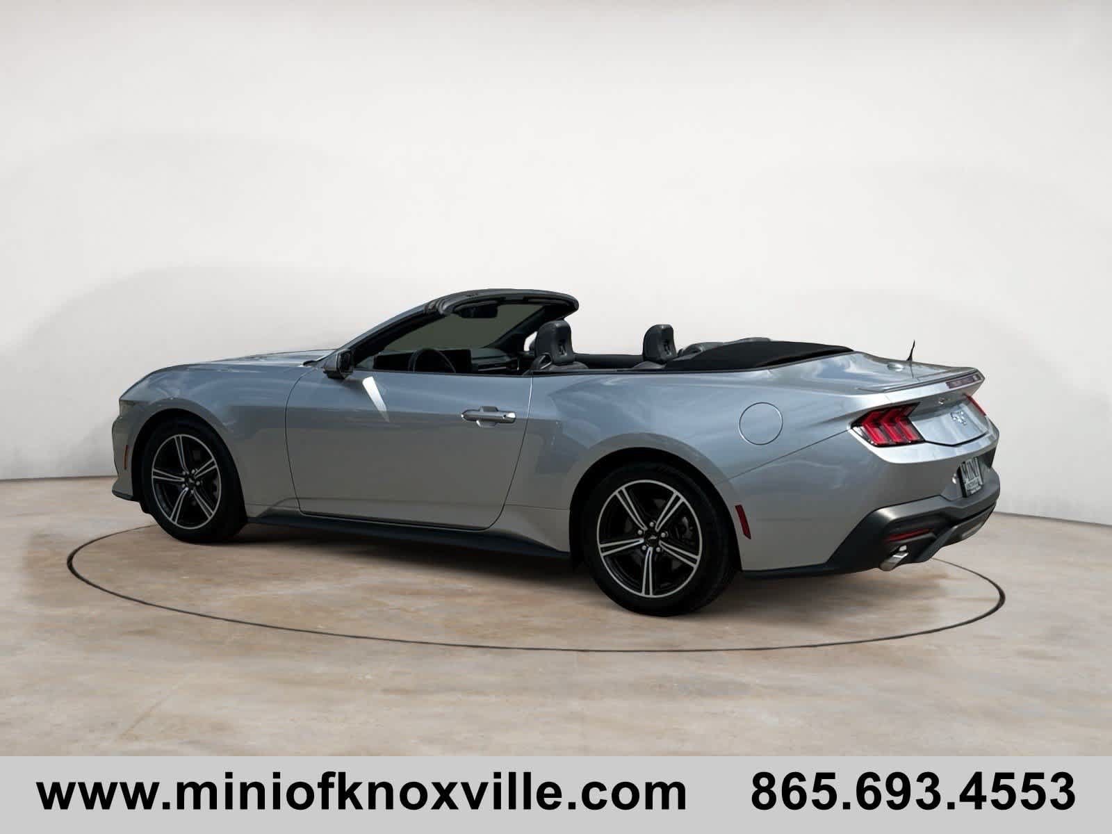 Used 2025 Ford Mustang Premium RWD image 5