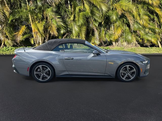 Used 2024 Ford Mustang Premium RWD image 3