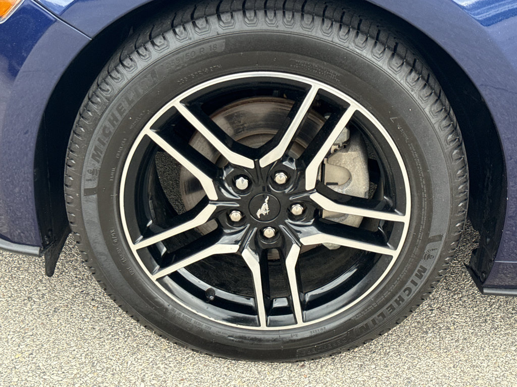 Used 2019 Ford Mustang Premium RWD image 8