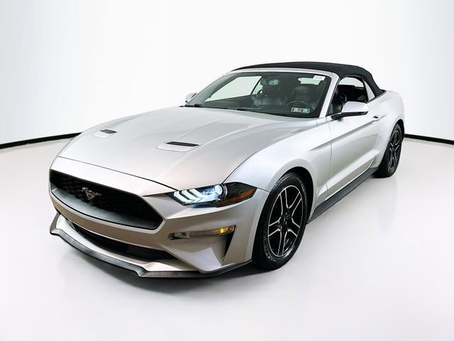 Used 2019 Ford Mustang Premium image 3