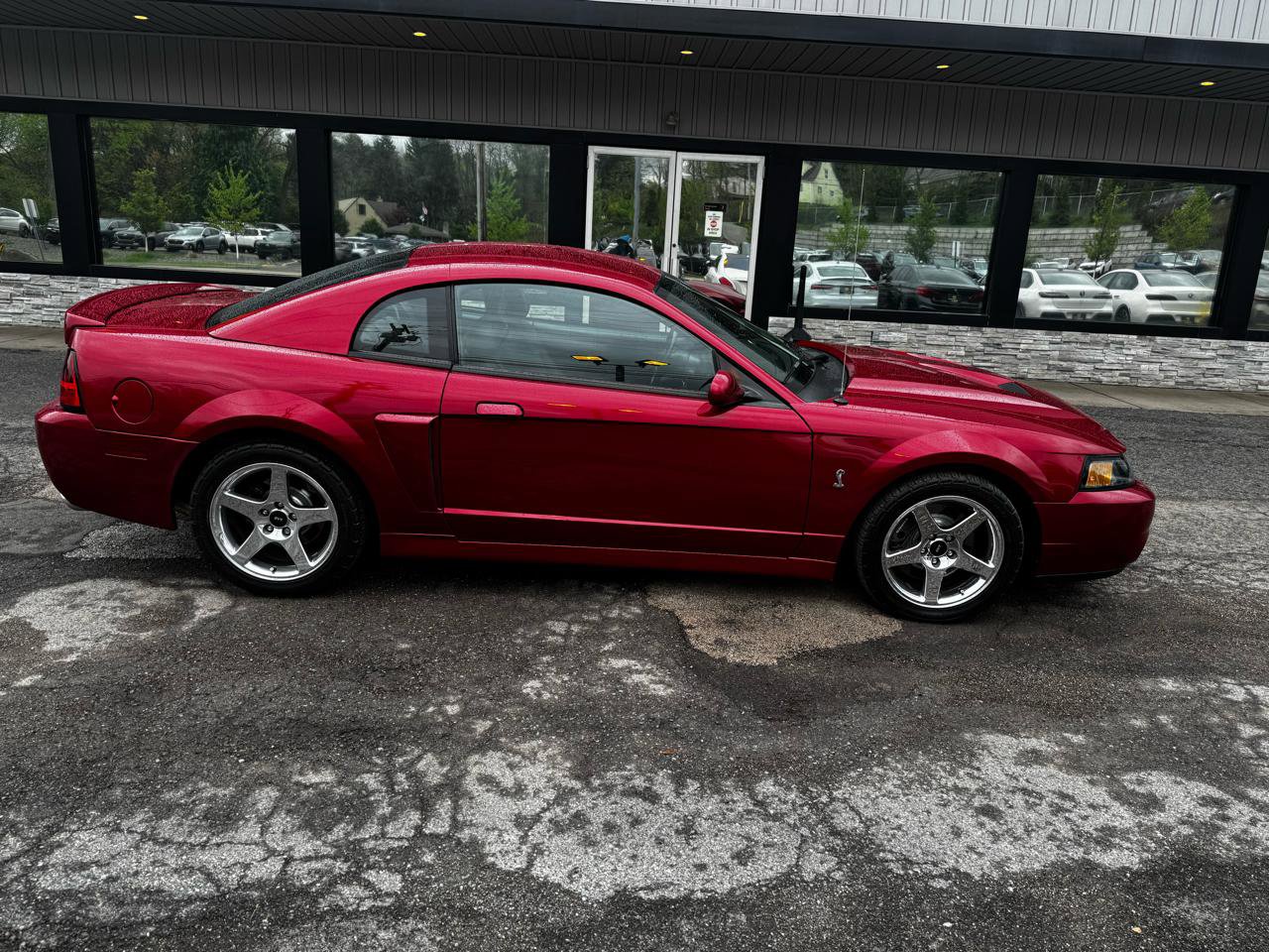 Used 2004 Ford Mustang Cobra RWD image 3