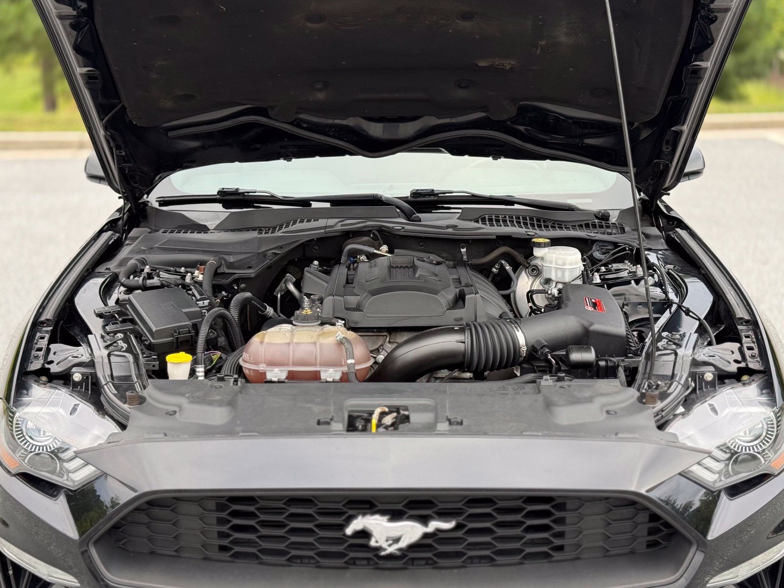 Used 2019 Ford Mustang Coupe RWD image 45