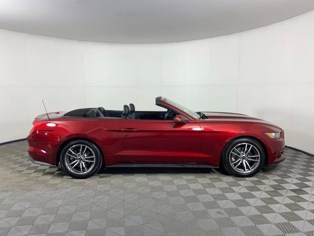 Used 2015 Ford Mustang Premium w/ Equipment Group 201A RWD image 10