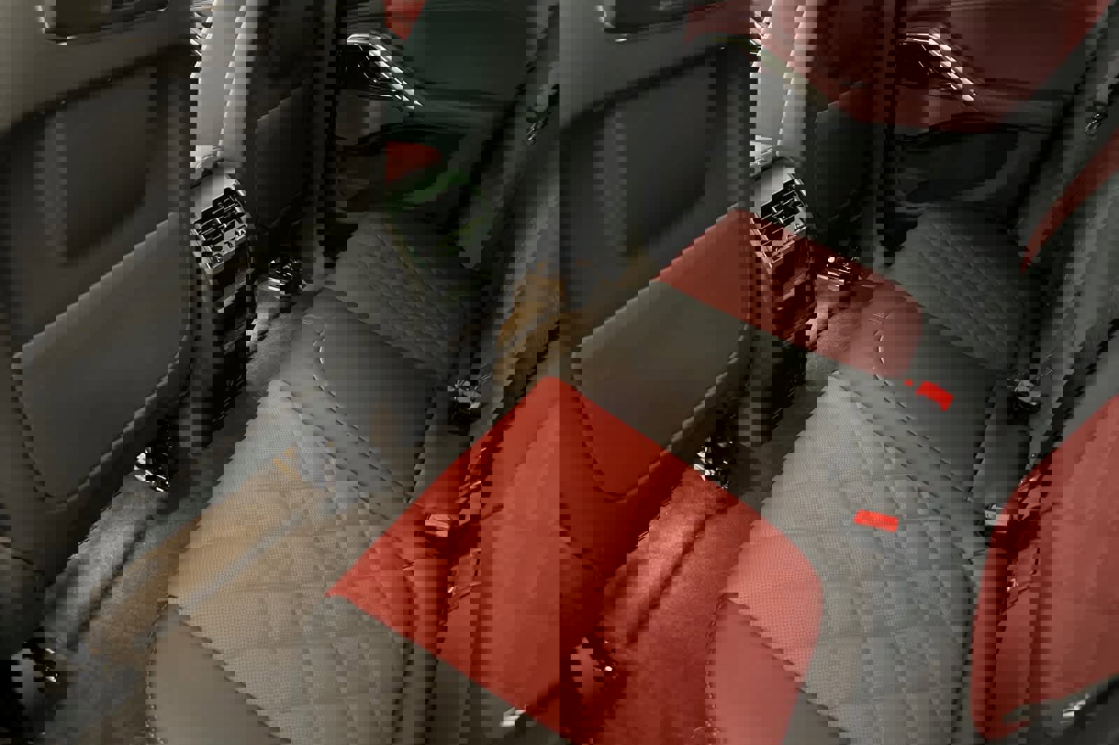 New 2026 BMW X6 xDrive40i w/ Executive Package image 4