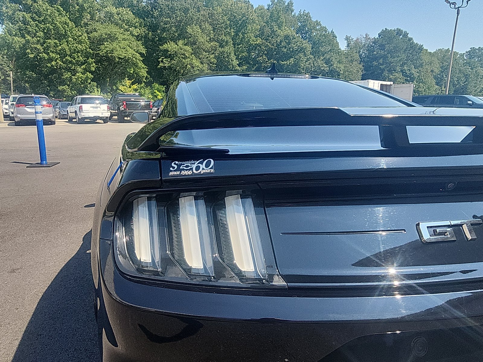 Used 2022 Ford Mustang GT Premium w/ Equipment Group 401A RWD image 13