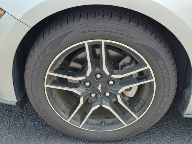 Used 2019 Ford Mustang Premium RWD image 10