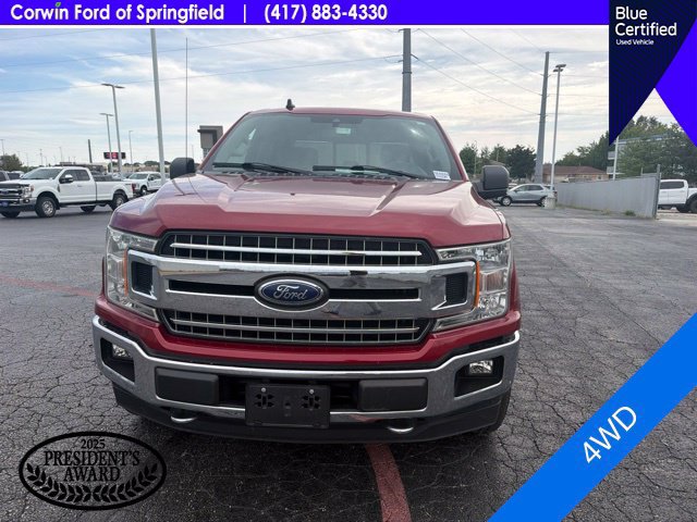Used 2019 Ford F150 XLT w/ Equipment Group 302A Luxury AWD/4WD image 2
