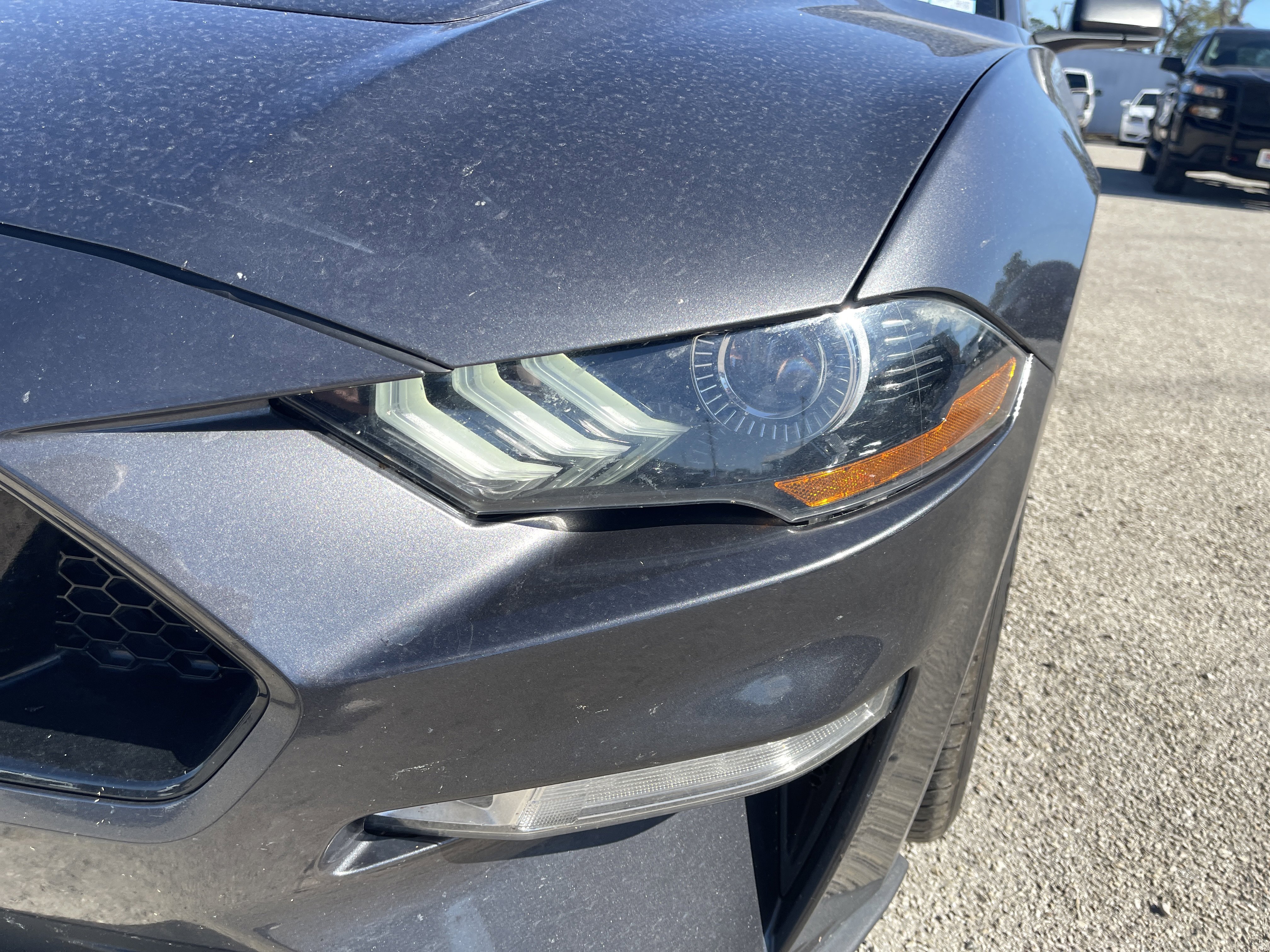 Used 2019 Ford Mustang GT w/ Black Accent Package image 10