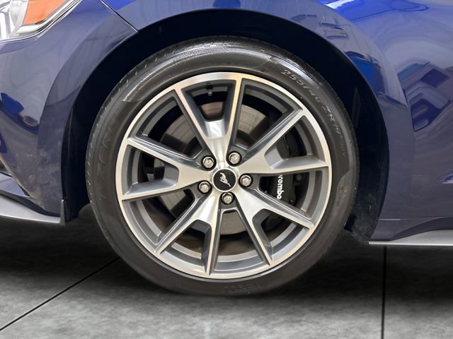 Used 2015 Ford Mustang 50 Years RWD image 25