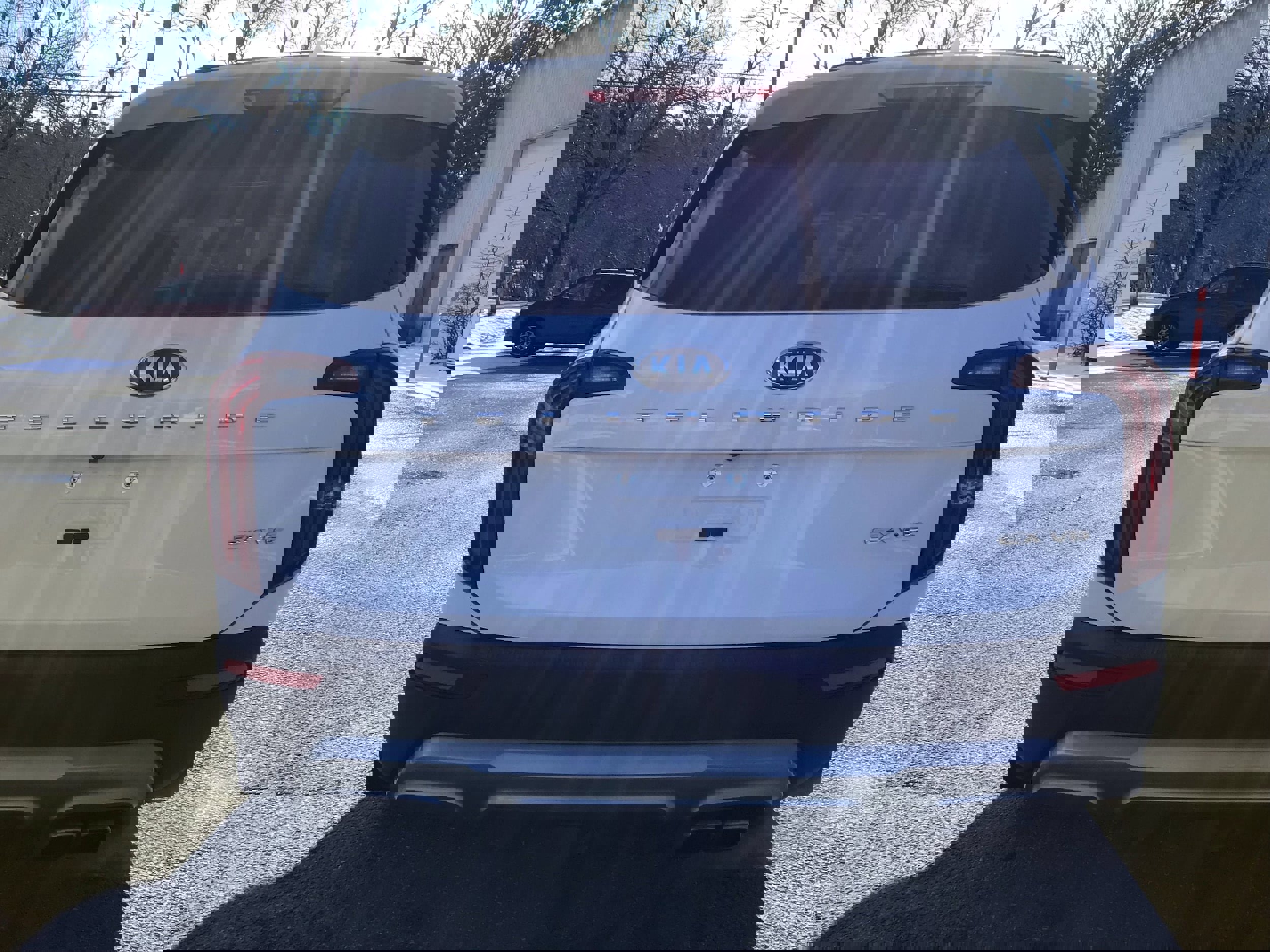 Used 2021 Kia Telluride EX w/ EX Premium Package image 6