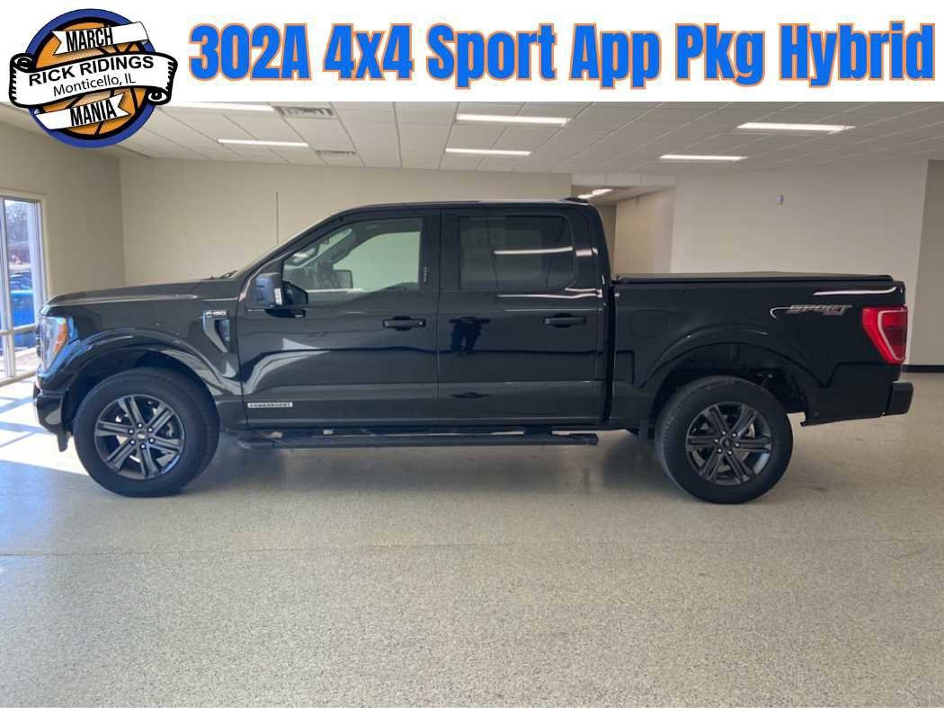 Used 2023 Ford F150 XLT w/ Equipment Group 302A High