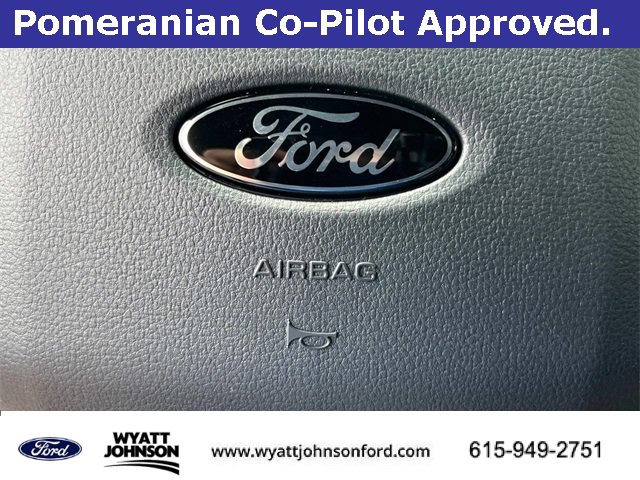 New 2025 Ford F150 Tremor w/ Bed Utility Package image 28