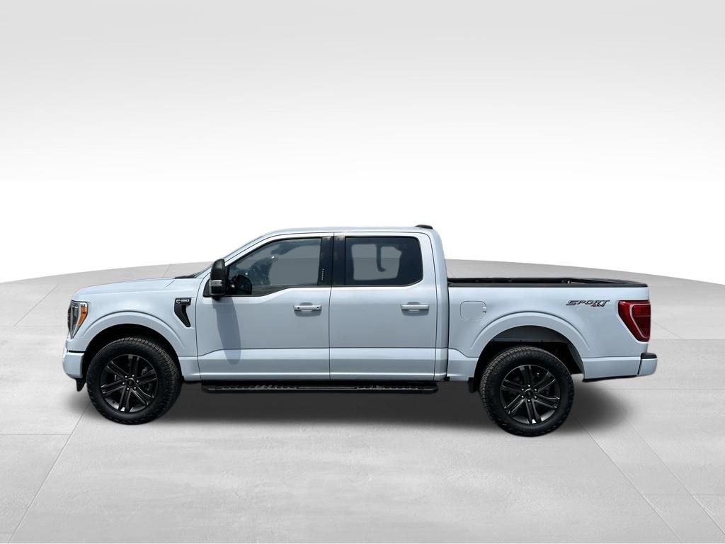 Used 2022 Ford F150 XLT w/ Equipment Group 302A High AWD/4WD image 12