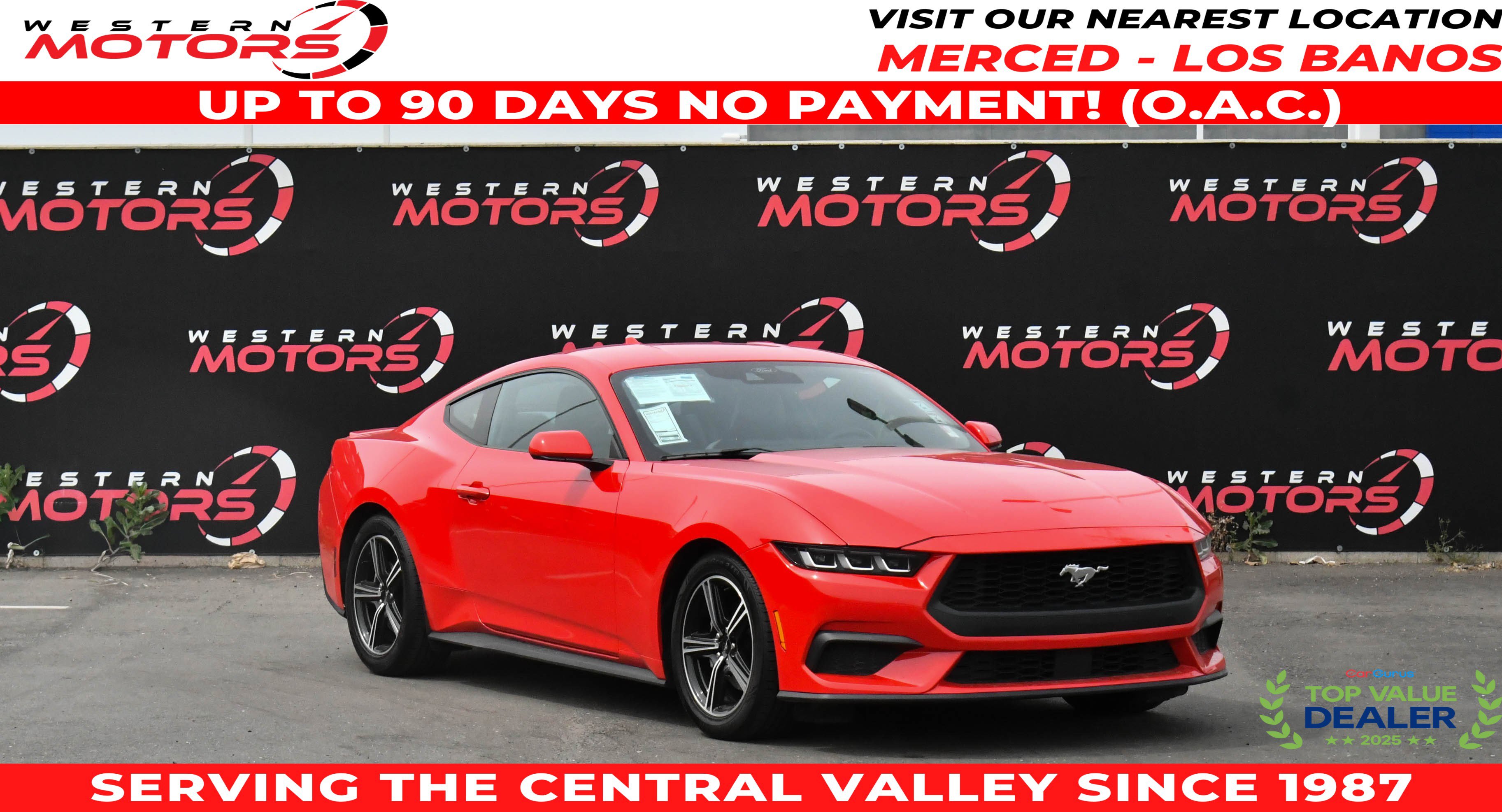Used 2024 Ford Mustang Premium image 1