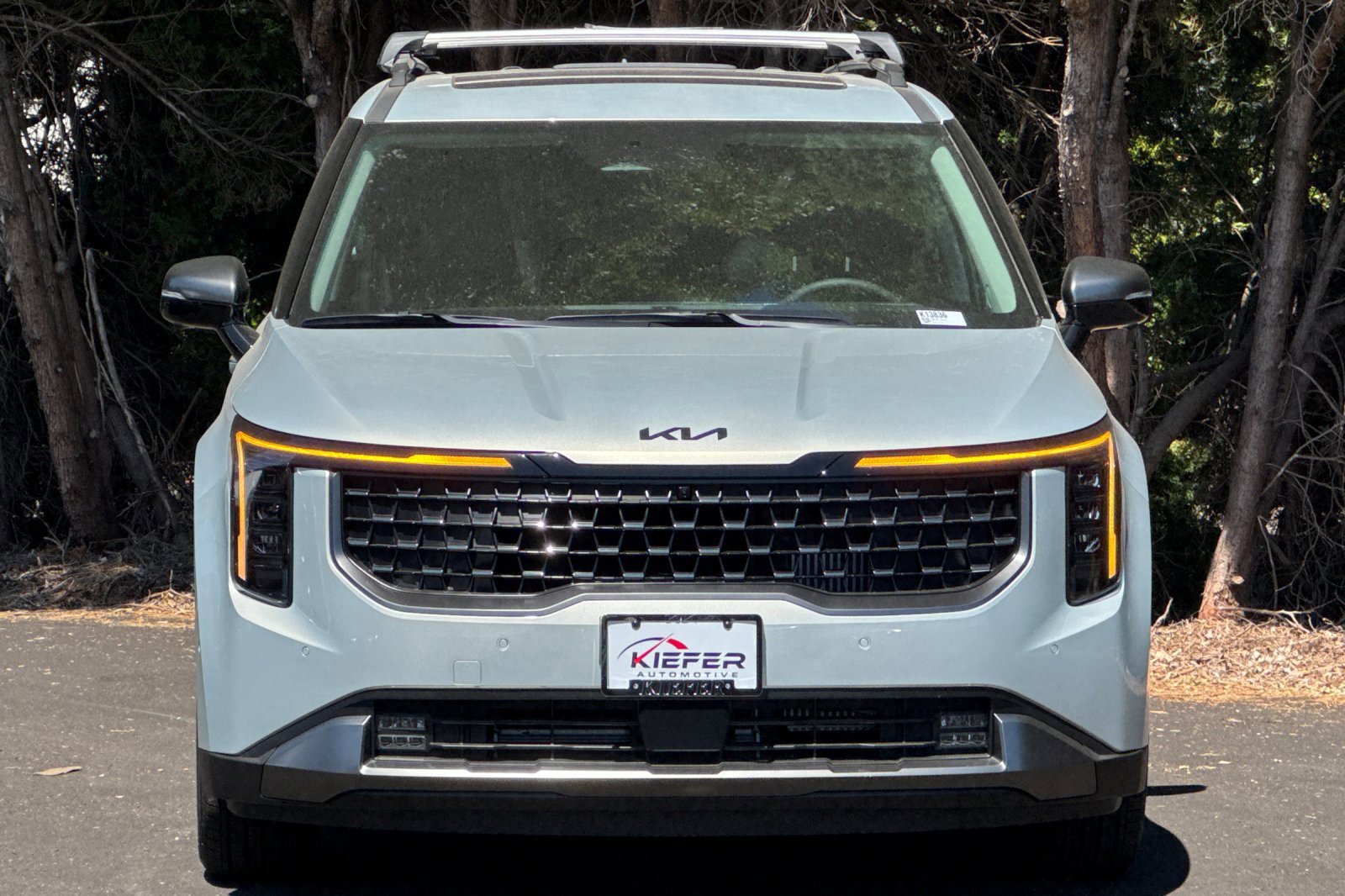 New 2026 Kia Carnival SX image 5