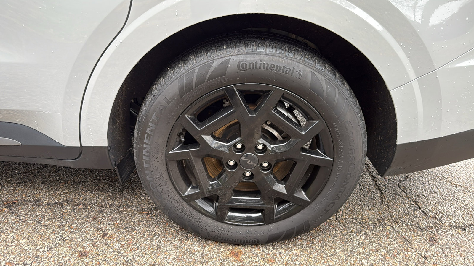 Used 2025 Kia Carnival SX Prestige image 32